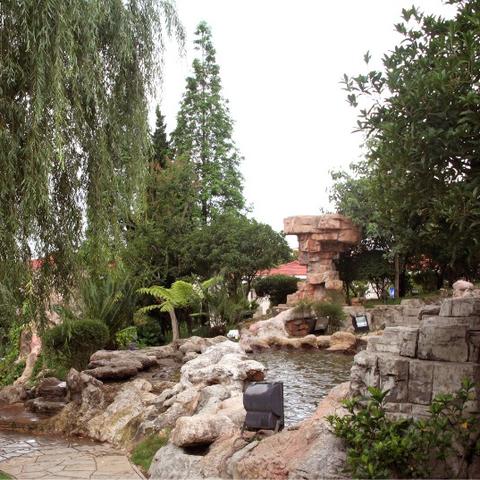 昆明市园艺花卉店在哪里