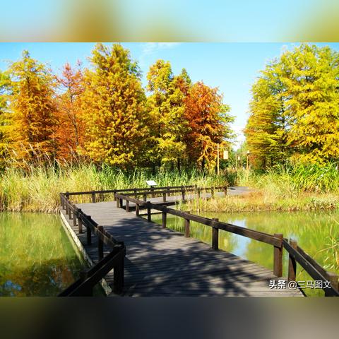 无锡市人民公园在哪里