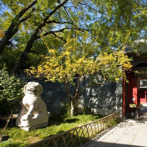 济南市稼轩文旅城怎么样