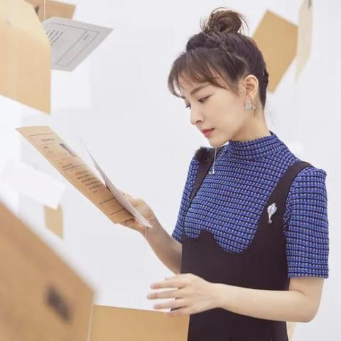一桩一档主要包括？