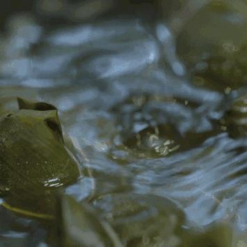 苏州市常熟市晚上哪里人多