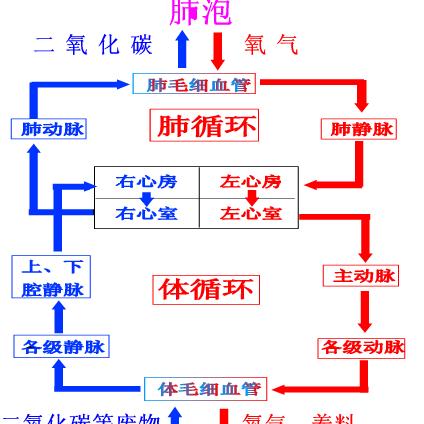 运势不好时怎么转运_运势不顺改运口诀