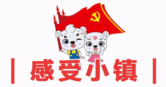 “庆百年·艺殷港·创未来”高校毕业季创业项目路演会成功举办