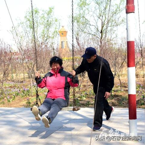 晋州的特产是什么