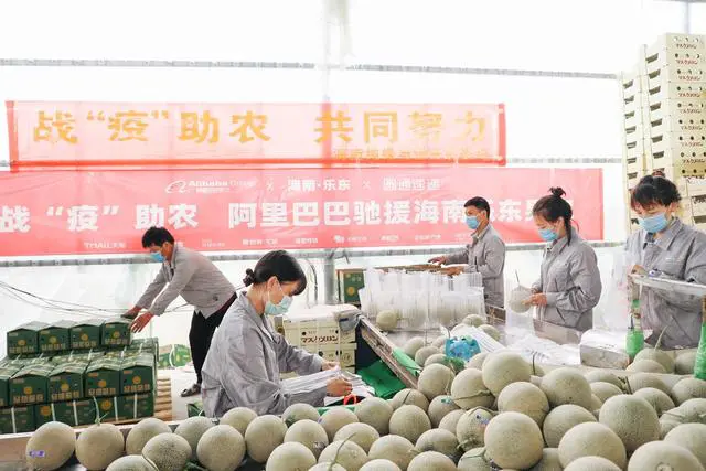 网上带货攻略 直播带货攻略