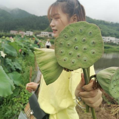 2025.11.29长沙今天空气质量指数怎么样