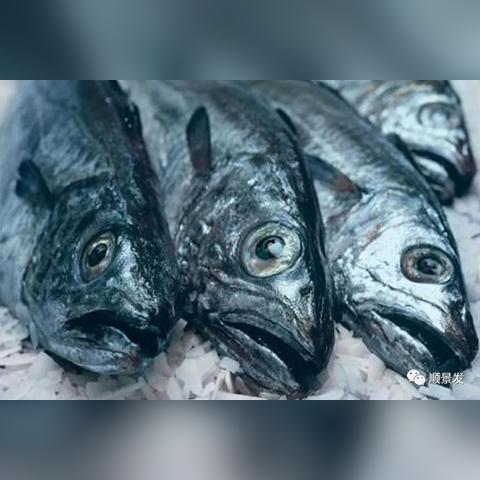 新西兰足球比赛地址的长尾关键词有哪些