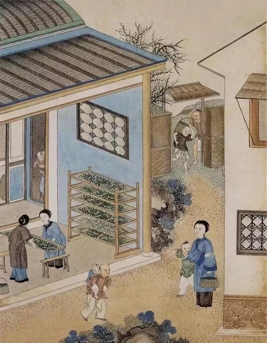小满|人生最好是小满