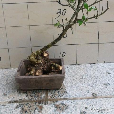 福建充电桩哪个好用