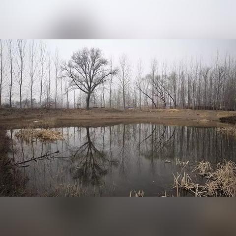 保定市旅游住哪里最好