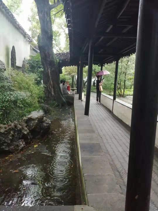 雨中拙政园，这才是江南该有的样子，一种令人陶醉的诗情画意