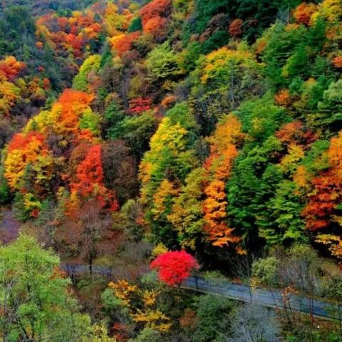 淡人生txt下载的长尾关键词有什么