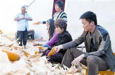 身价过亿王宝强：“我要回家收玉米了”，他是真傻还是老道？