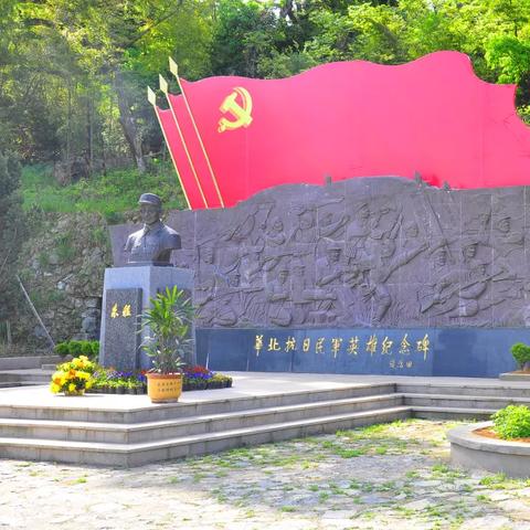 温州市将军红的长尾关键词有什么