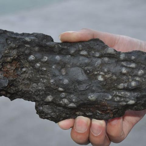 肇庆教育好还是桂林相关长尾关键词有哪些