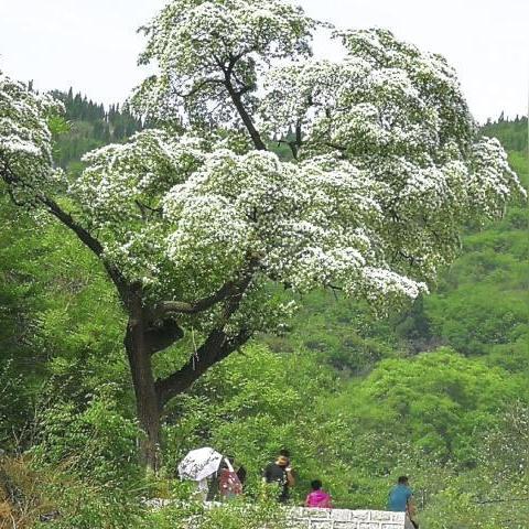 济南市什么家具品牌好