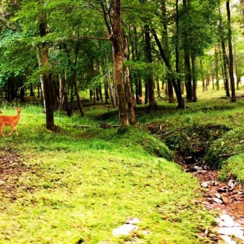 哈尔滨情侣写真黑白相关长尾关键词有哪些