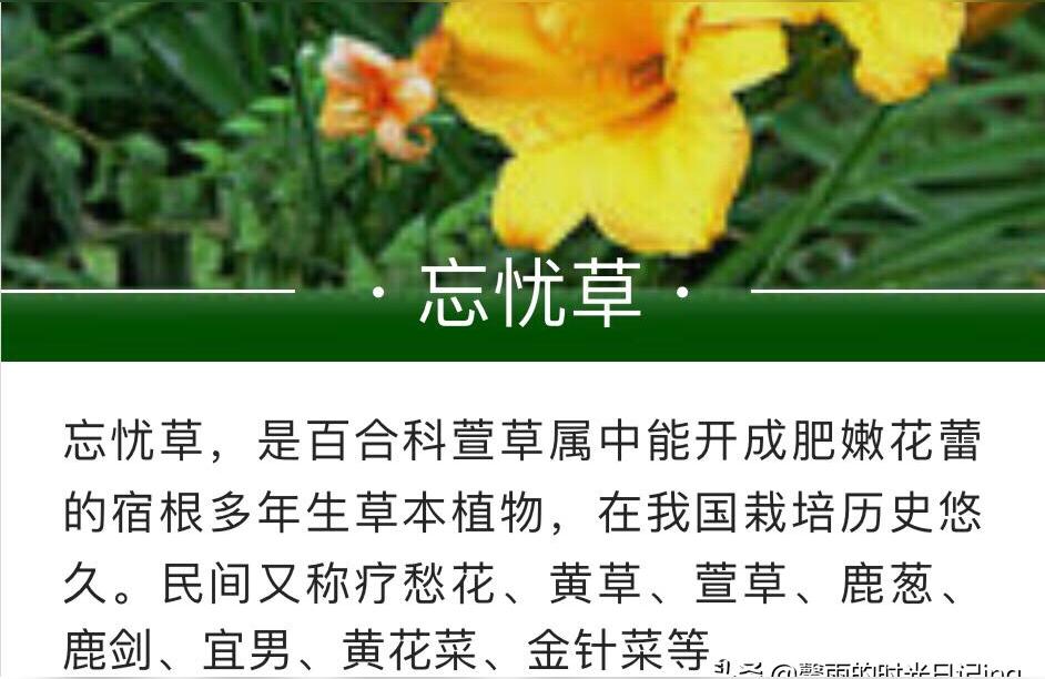 查姓名吉凶查询免费 81画姓名吉凶大全武悦瞳这个名字分数多少