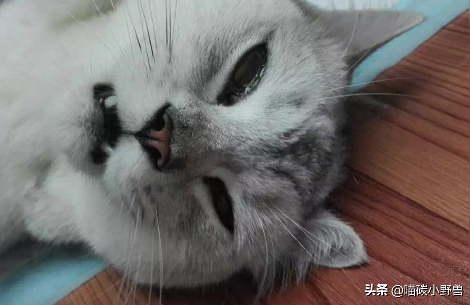 梦见坠楼