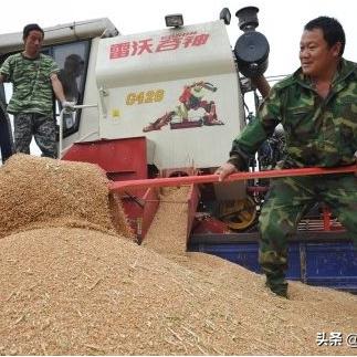 什么地方冰雹好大
