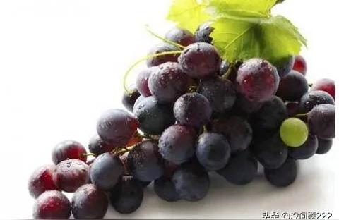 葡萄可以冷冻保存到冬天吃吗