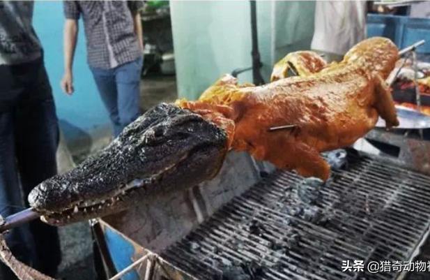 扬子鳄的数量中国有鳄鱼的内陆湖