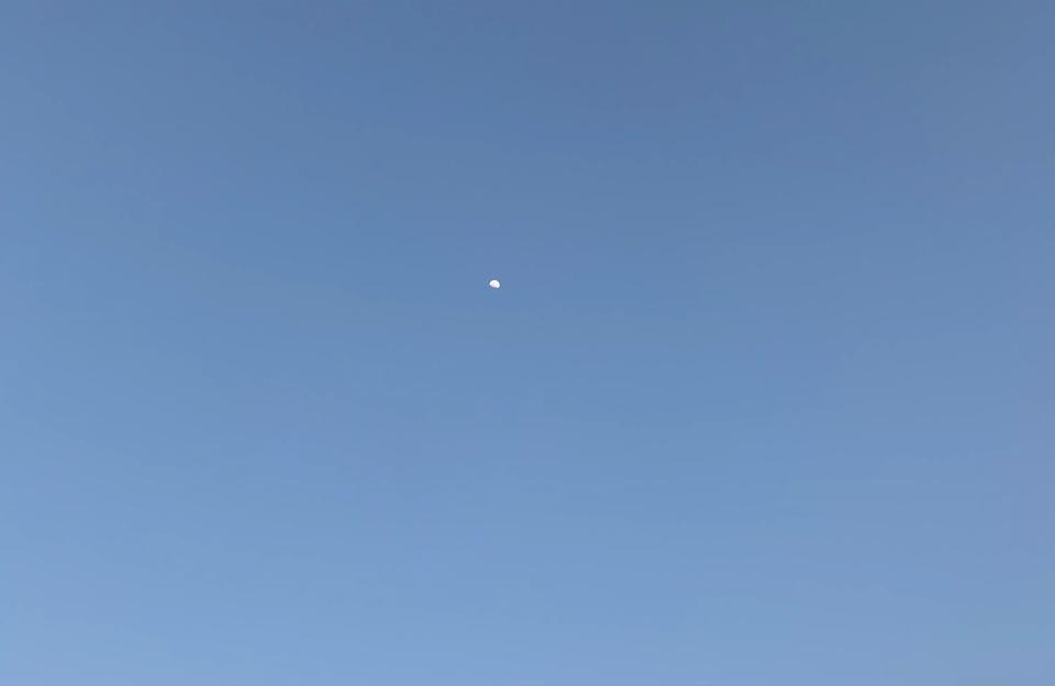 詹明星座运势我发现她昨天偷偷看了我的星座运势