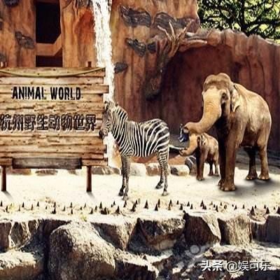 杭州市的市区包括哪几个区？