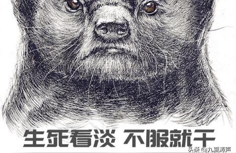 梦见自己偷情
