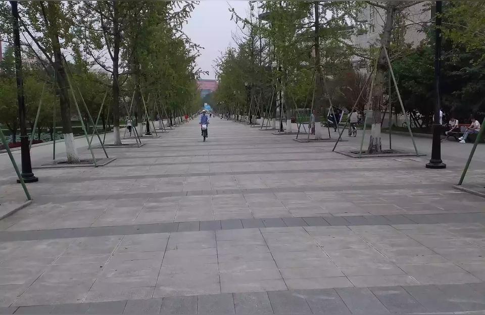 未来与发展MBA论文mba论文直接降重可以通过答辩吗