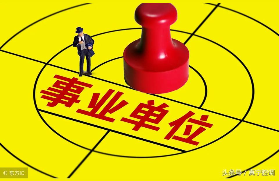 认真负责的林业站站长的新闻林业站站长是多大的职位啊