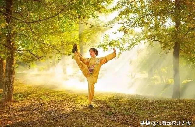 猴宝宝杨姓起名大全,杨氏28式背面口令文字