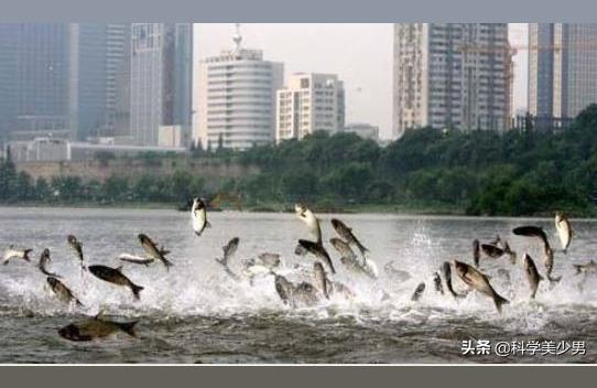 震灾防御技术论文结论怎么写为什么有人说洛阳是全自然环境最安全的城市