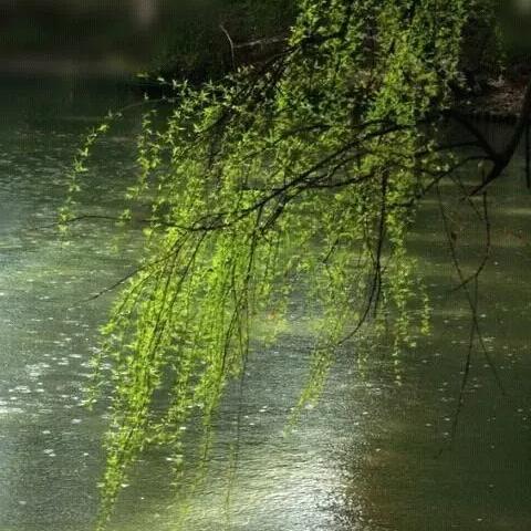 厦门丝尚经典的相关长尾关键词有哪些