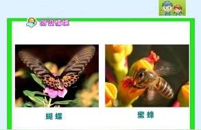 蝶组词和拼音蝴蝶两个字的拼音和组词
