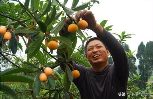 潮汕墓地风水_传统的土葬除了浪费土地之外就没有优点了吗