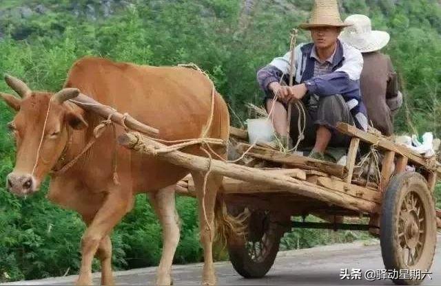 梦见玉镯子