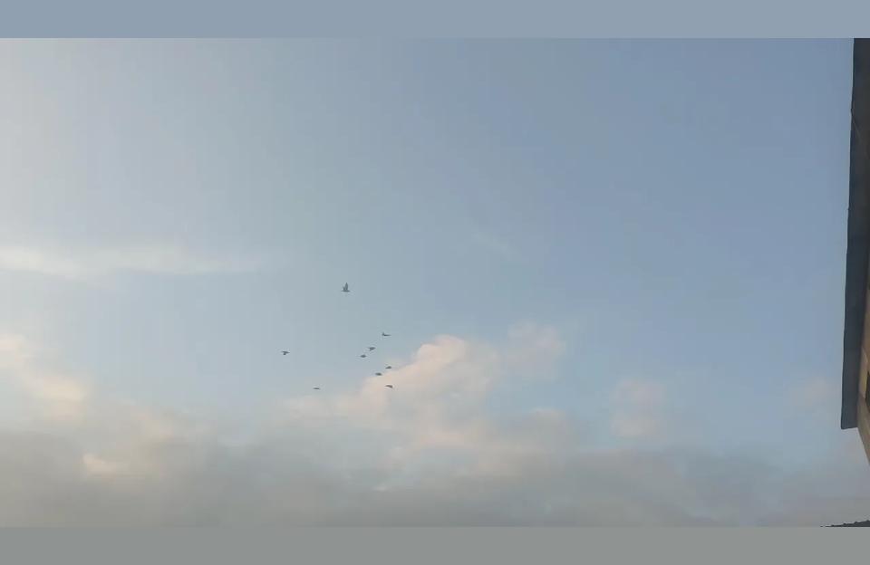 算命的语术为什么占卜算挂能通过八字看出你过去曾经发生过的事