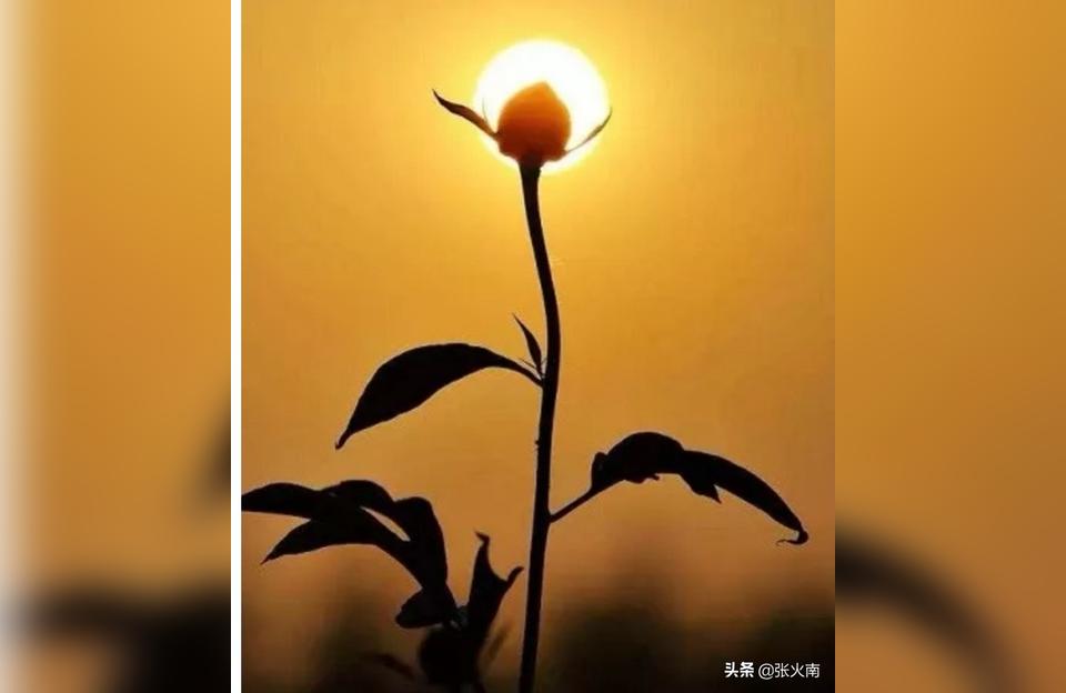 做抖音副業(yè)怎么不讓老板知道當老板知道自己的員工做副業(yè)而且收入還廷好 運營百科