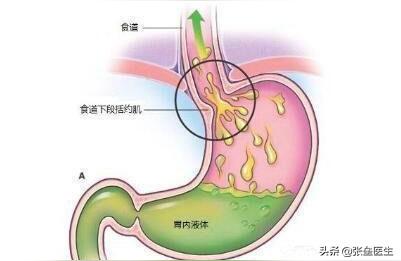 临床消化病杂志论文模板期刊论文字体字号以及格式要求