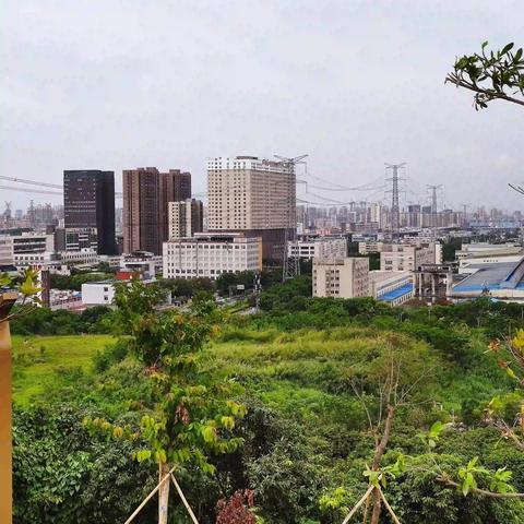 宝安去东莞市怎么坐车