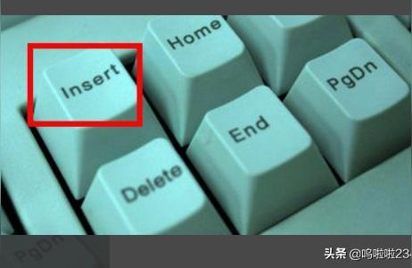电脑键盘示意图-电脑键盘Insert按键如何**作使用
