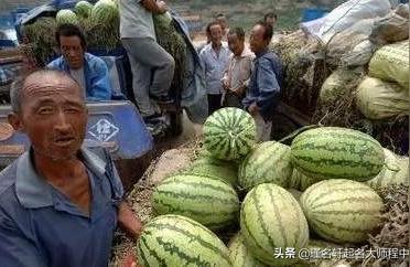 梦见蚂蟥