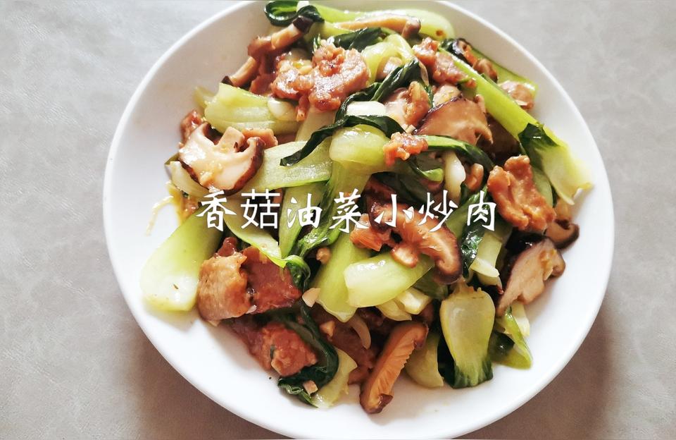 美食的方法有什么（学习最快的方法是什么）