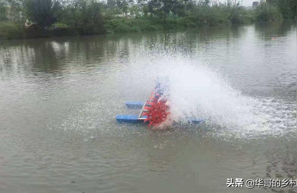 辽阳鱼池水泵设备:5立方鱼池过滤用多大水泵