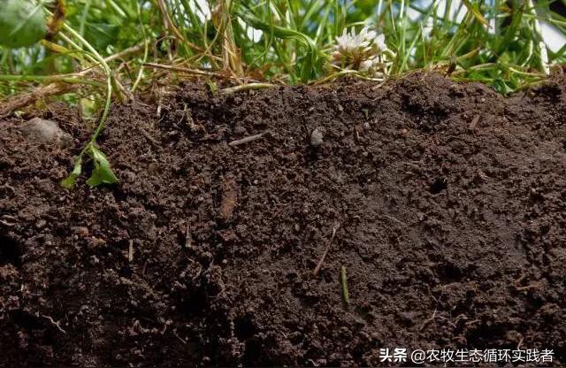 农产品质量与安全免费论文网站如何抓好农产品质量安全综合监管工作