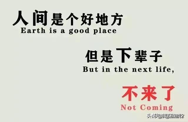 梦见好多坟墓