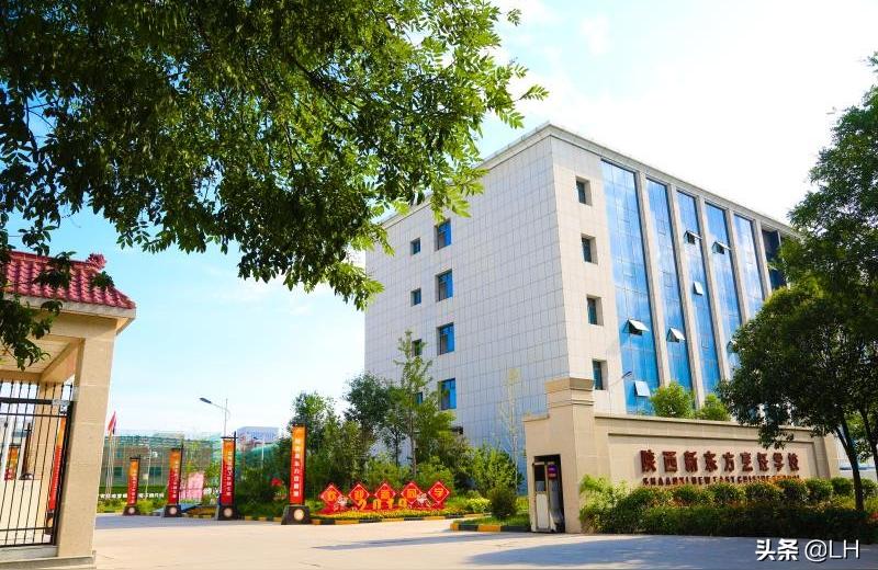 美食学院都有什么专业（学什么小吃可以开店挣钱）