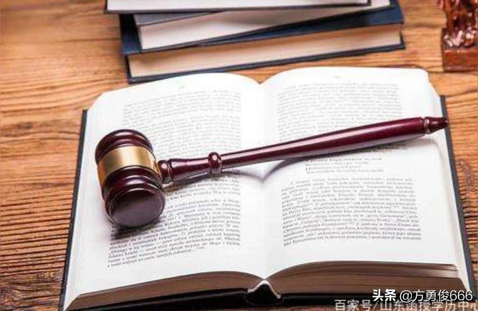 海峡法学大学生实践论文大学的法学都学些什么