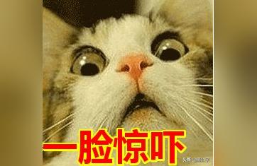 2016男宝宝起名大全,媒体在向我们宣传一个什么样的价值观